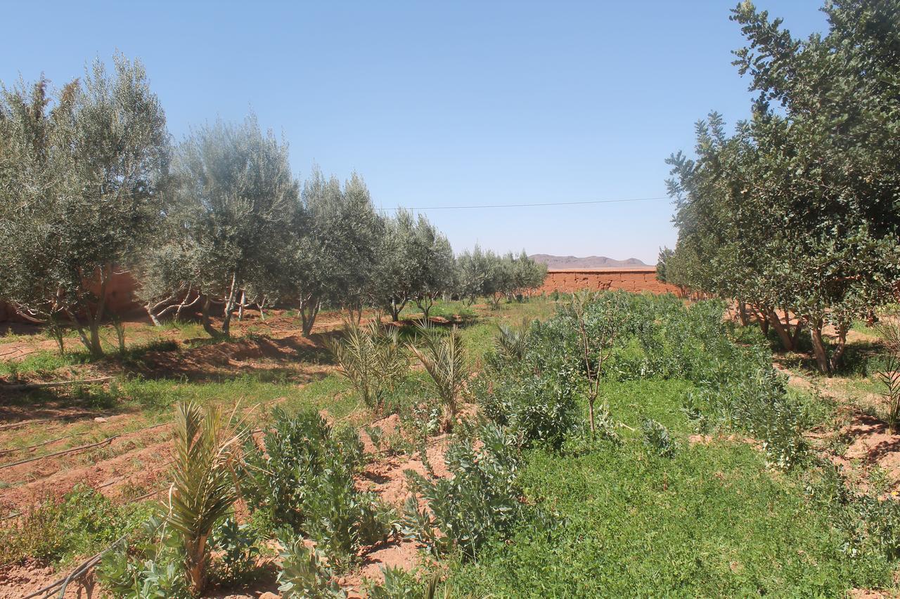 Dar Alfourssane Ferme D'Hote Варзазат Екстер'єр фото