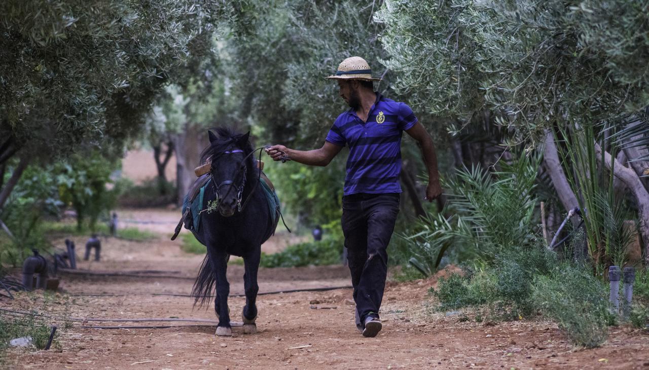 Dar Alfourssane Ferme D'Hote Варзазат Екстер'єр фото